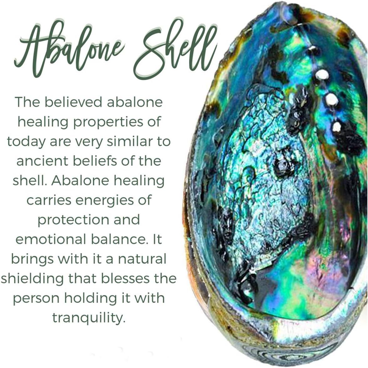 Tear Drop Abalone Shell Pendent Necklace Wire Wrap Abalone Shell Tree of Life Pendant Necklace Fashion Necklace Jewelry for Women Handmade Necklace Mothers Day Necklace for Mom Jewelry